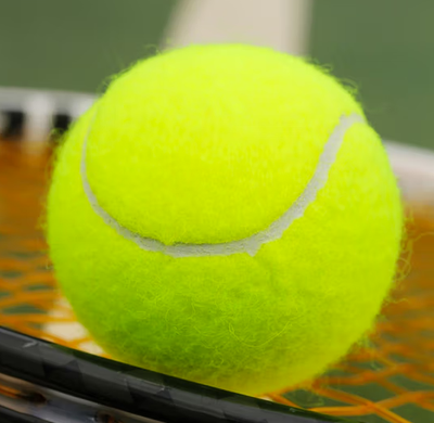 LENWAVE兰威网球训练球训练器男女单人带线打回弹带绳发球机耐打运动健身网球 带绳训练网球【一只装】 网球